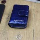 Pénztárca Gregorio BC-115 Kék